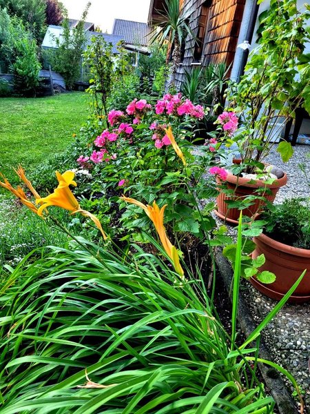 Let's take one last look at the garden...