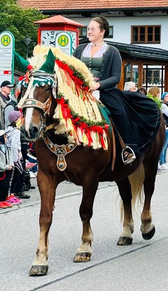 Are you tall enough to get on the world's biggest horse?