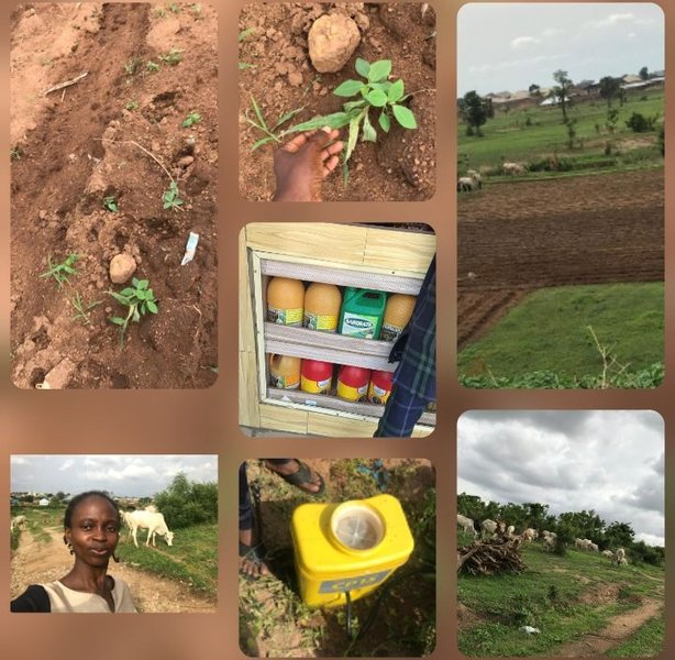 Effective use of less hazardous Organic chemical in farm and appropriate methods of Application.