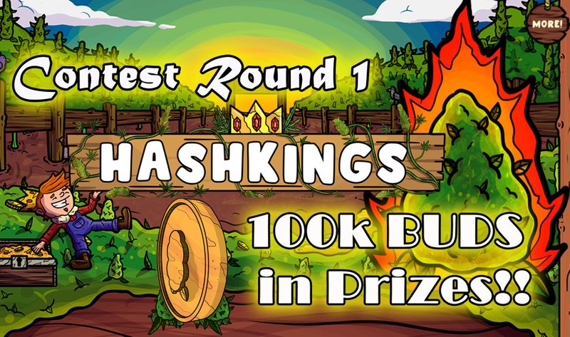 hive la ronda 1 del concurso Hashkings   