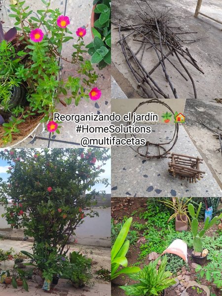 Organizando el jardin🌱🌼🌳🏡//Organizing the garden🌱🌼🌳🏡[ESP-ENG]