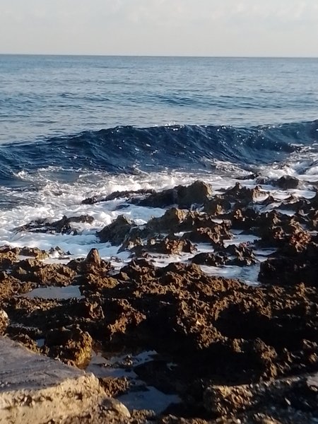 From the coast/Desde la costa(EN-ES)