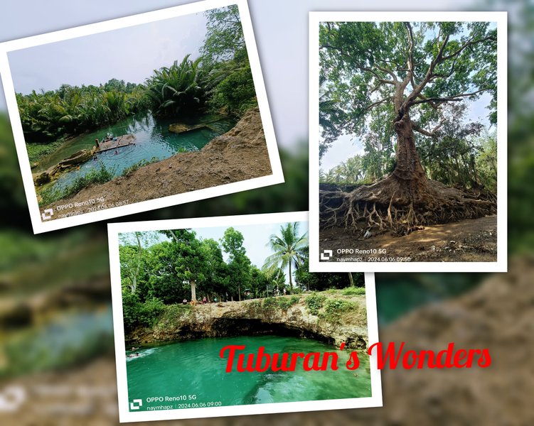 The Quest for Tuburan's Wonders:  Discovery of the Ancient Tree and the Majestic Spring 