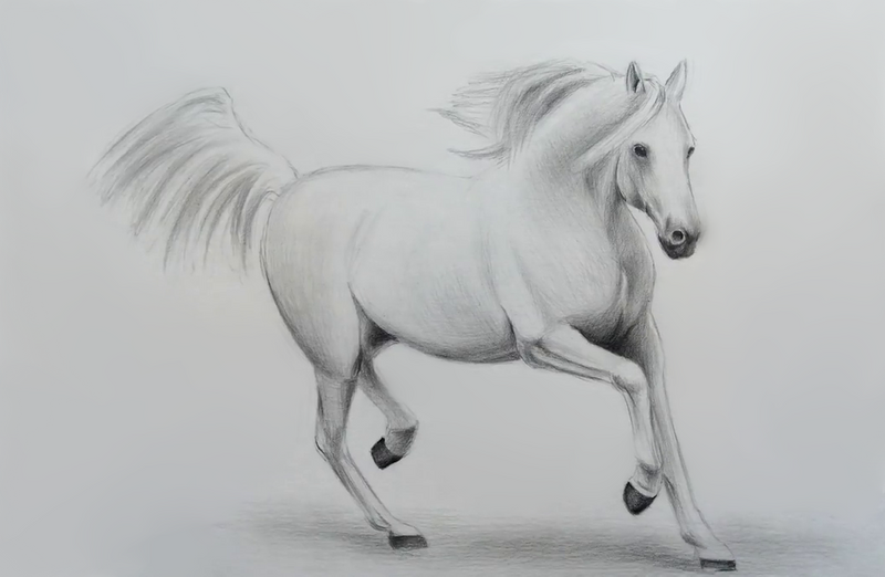 Draw Horse With  Pencil // ESP-ENG