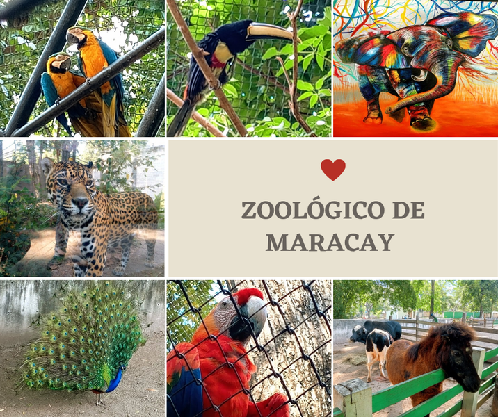 Zoológico de las Delicias Maracay - Venezuela 🇻🇪 [Esp-Eng]