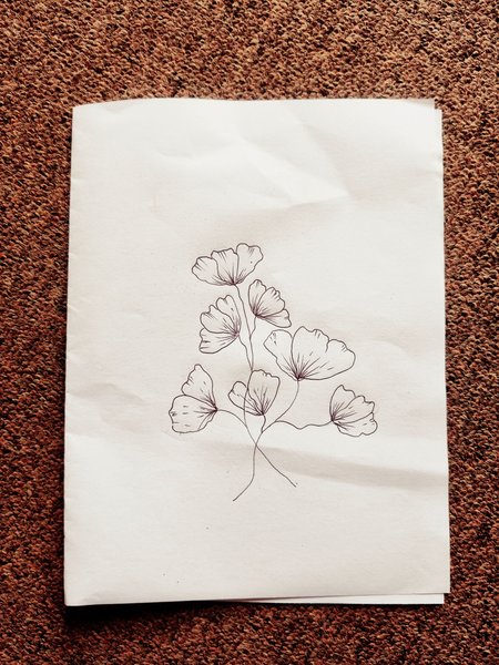 Wednesday's sketch of a flower