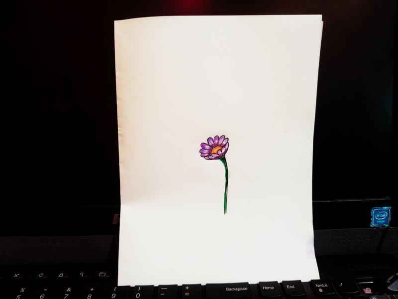 Purple flower picture today