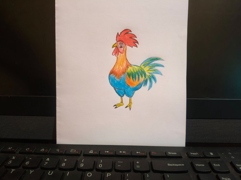 My drawing today is a sketch of a chicken.🐓