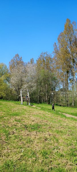 Тарзанка в парку