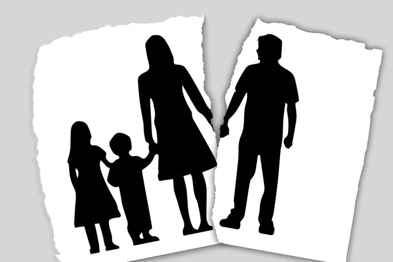 The effects of divorce on the partner and children 