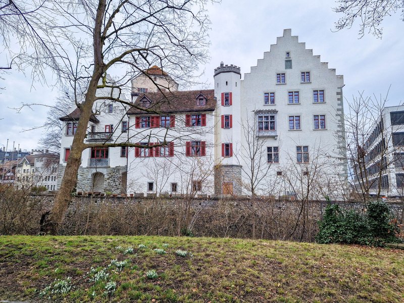 Arbon castle