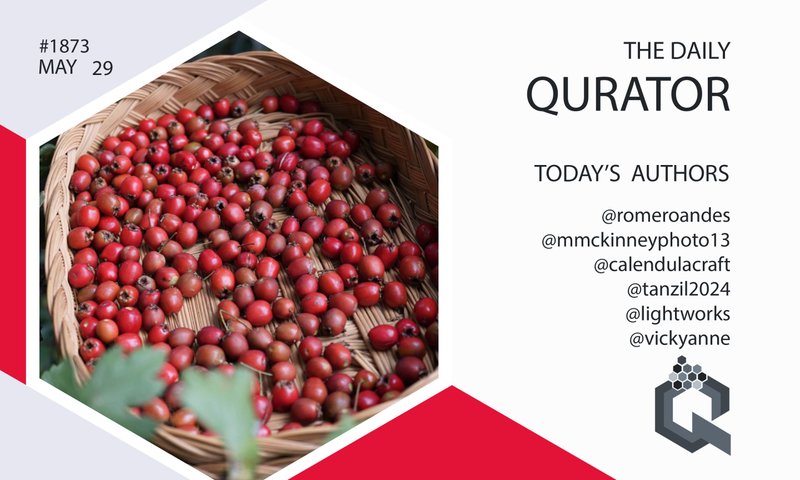The Daily Qurator #1873