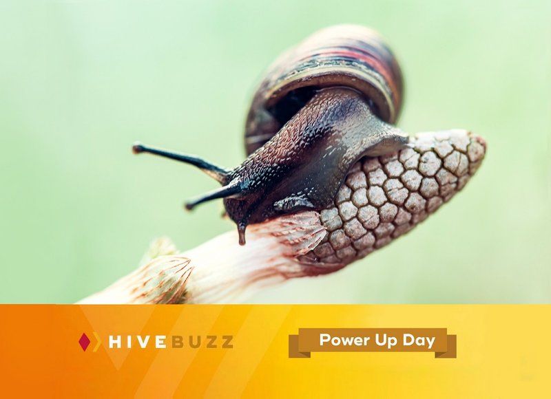📈 June powerup & delegation. Tracking #myHiveGrowth 📈
