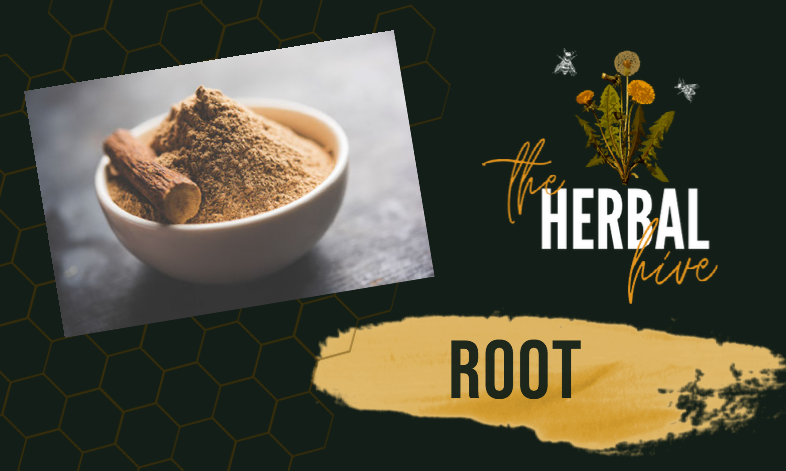 April Challenge: Write about a Medicinal Root
