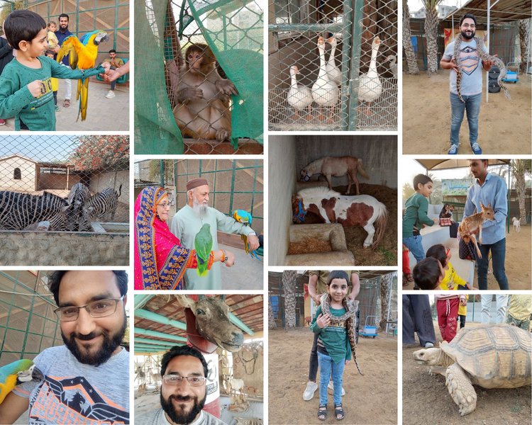 A Memorable Day at Elixir Zoo – Fun, Adventure, and Family Time