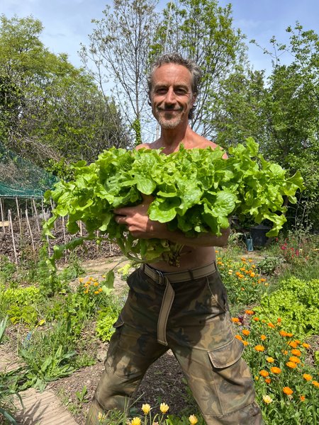 This lettuce is trying to impress me 🌱