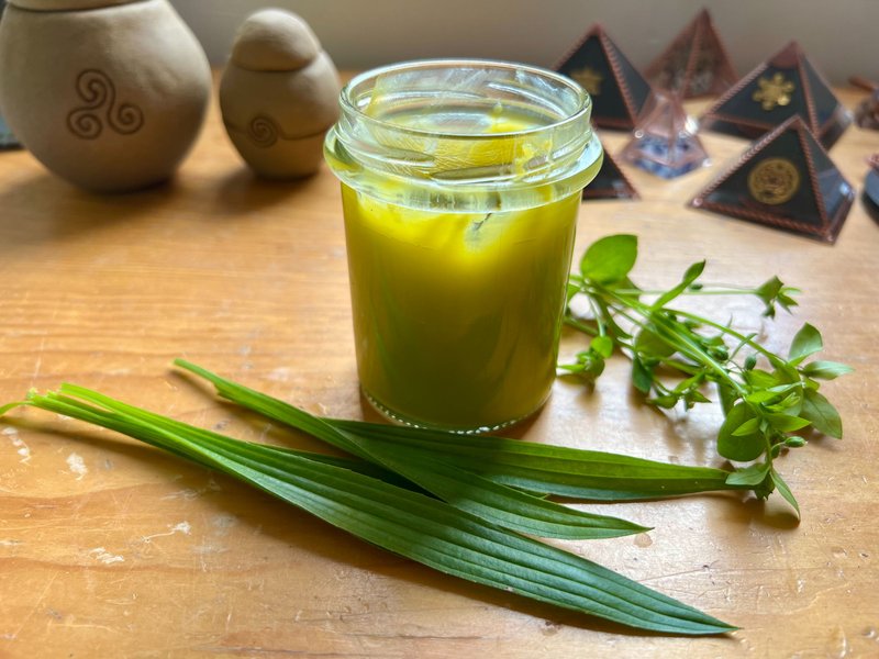 How to make chickweed & plantain skin salve (cream)