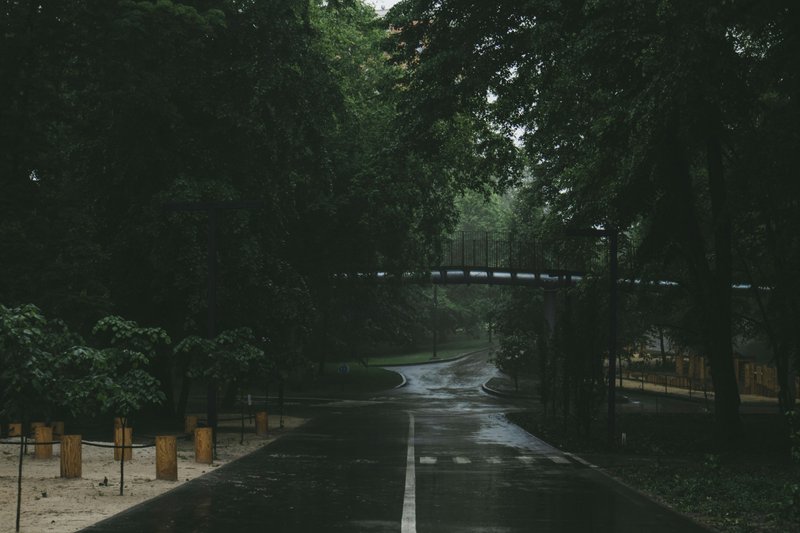 Rain Doesn’t Just Fall — It Opens the Door to Yesterday