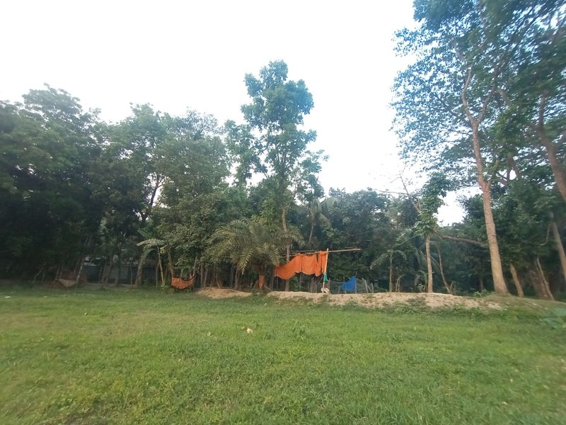 বাবার বাড়ি