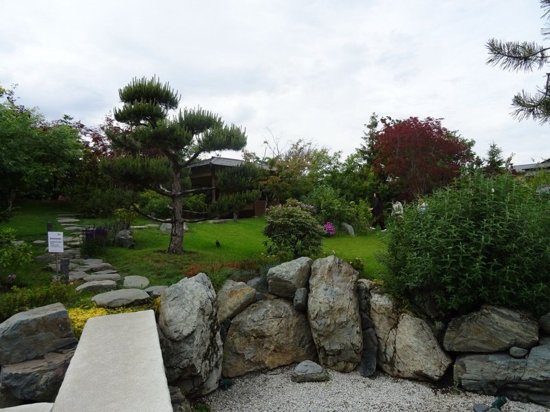 Dry pond and its inhabitants: an excursion to an amazing place