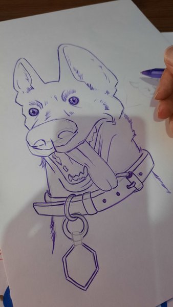 PERRITO