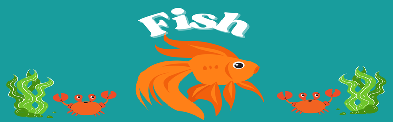 BookReview Fish