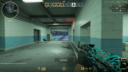 The WTF Match! (Still Had Some Fun! Counter-Strike Plays!)