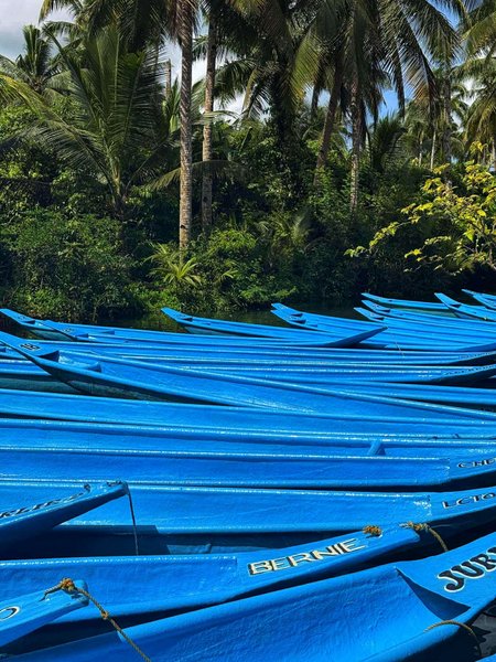 'Bankas' in Bold  Blue  - Lifescape Tribe Photography Contest Round 1 - Colors of Life