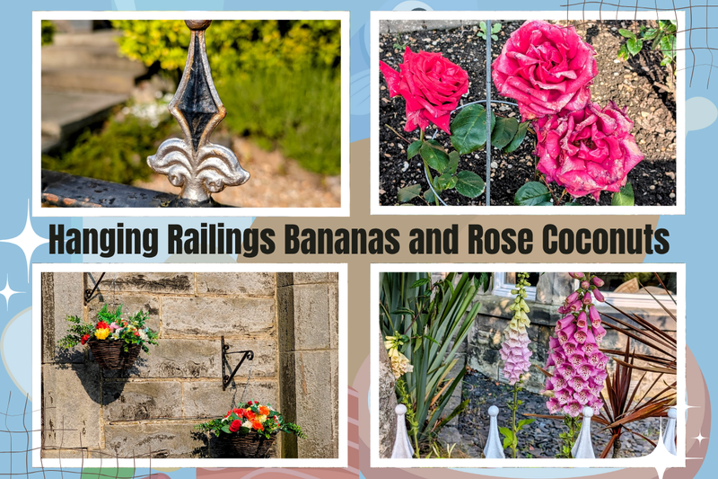 Hanging Railings Bananas and Rose Coconuts