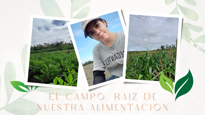 Volviendo a nuestras raices y la base de nuestra alimentacion/ Going back to our roots and the basis of our nutrition [ESP-ENG]