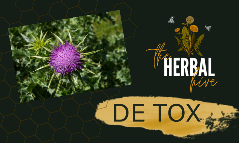 Winners of the DeTox Challenge! 