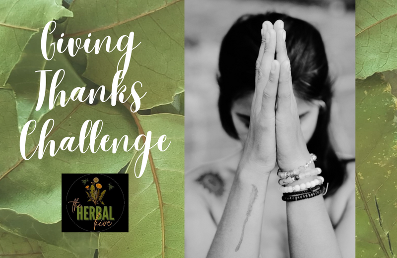 Herbal Hive Challenge: The Herb You're MOST THANKFUL For!! 