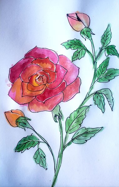 Watercolor Painting of Rose (Wet on wet Technique)