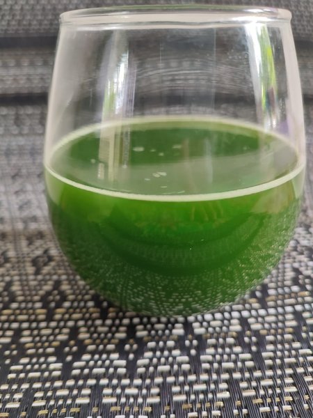 Making Moringa Leaf Juice