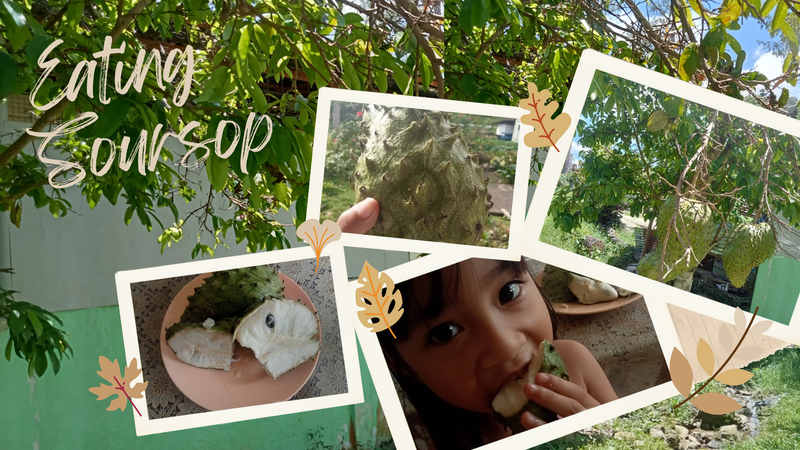 The Sweet Benefits of Eating Soursop