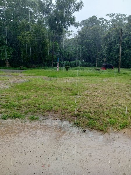 What A Sunday Morning With heavy Rain