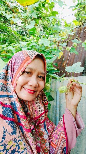 Gambutan, nature's gift for garden lovers