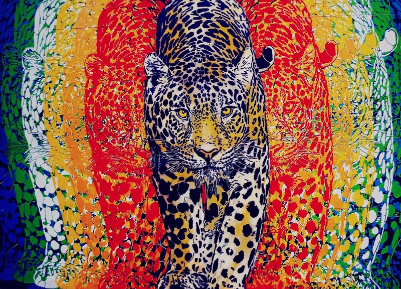 The jaguar is back!🦁💛💚💙💜