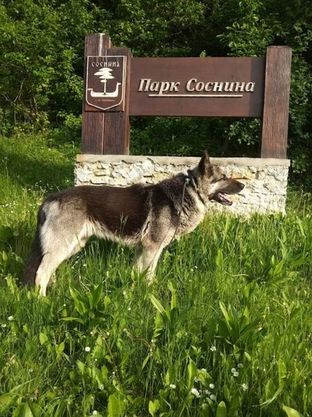 Парк Соснина