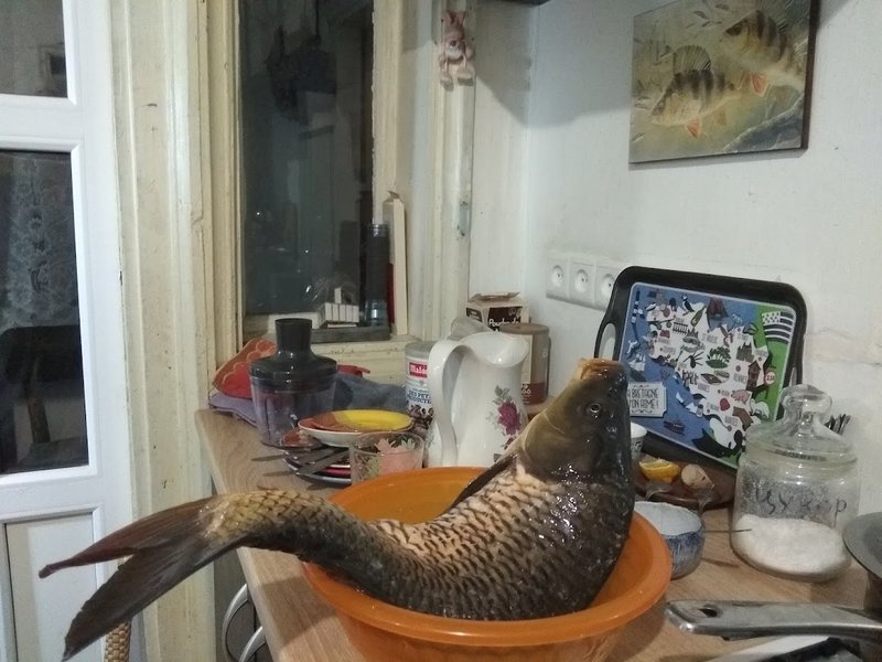 Короп