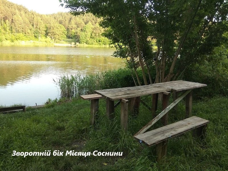 Зворотній бік ~Місяця~ Соснини