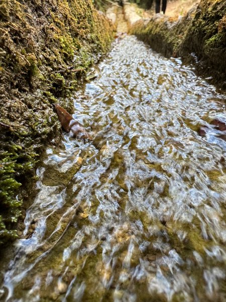El agua se abre camino