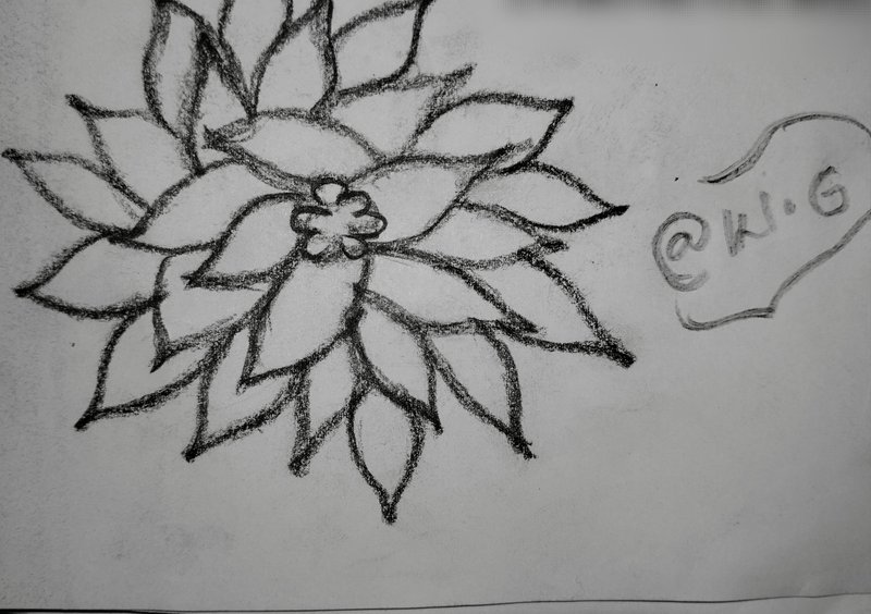 Day 7 : Sketch A Day!