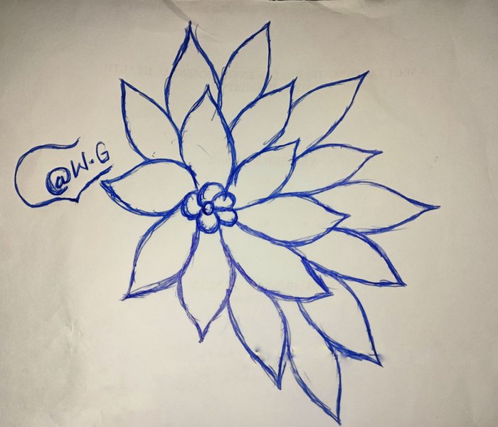 Day 8 : Sketch A Day!