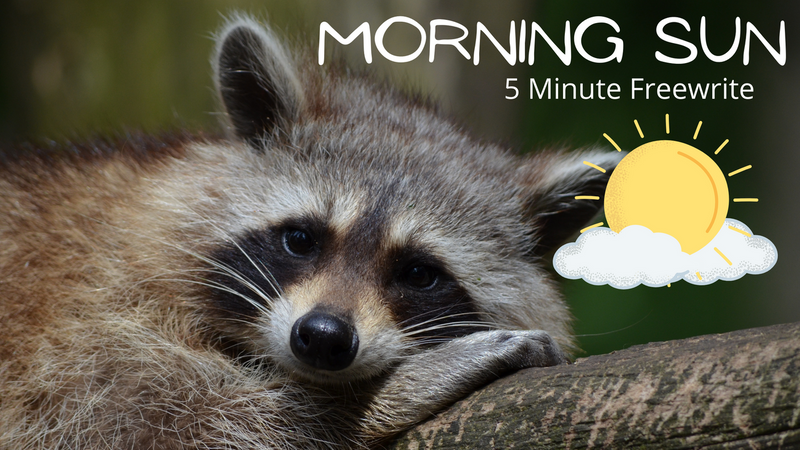 Morning Sun ~ 5 Minute Freewrite