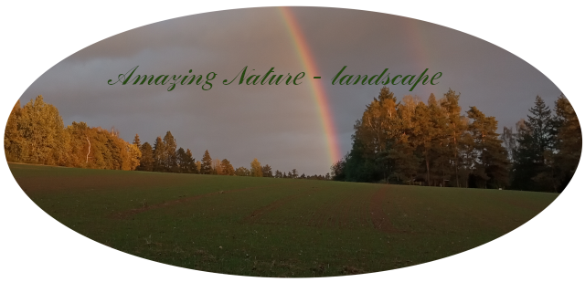 Amazing Nature geography Curation report September 2024 #02