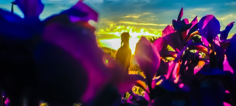 Sunset, Love And Flowers Photography!?! You Won't Believe It!?!