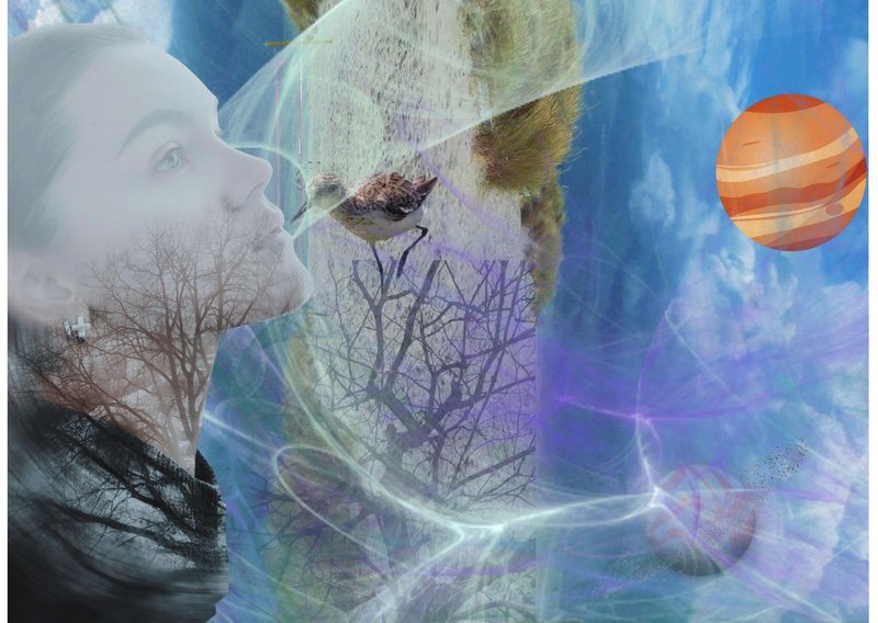 Let's Make a Collage - A Contest for All Creatives on Hive - Round 229 -