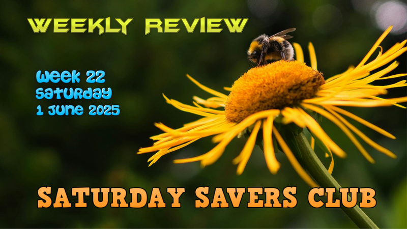 Progress and Strategies in SaturdaySavers Club Week 22