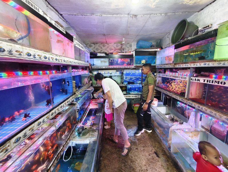 Veranda Beach Project: Where the Fish Were Plenty and the Sand Just Right | Part One